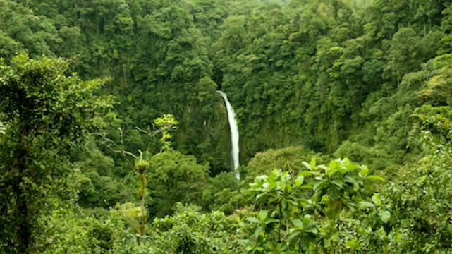 John Quiñones won an Emmy for his coverage of rainforest preservation in the Congo (Photo by Zack Seckler/Corbis). Waterfall in a rainforest