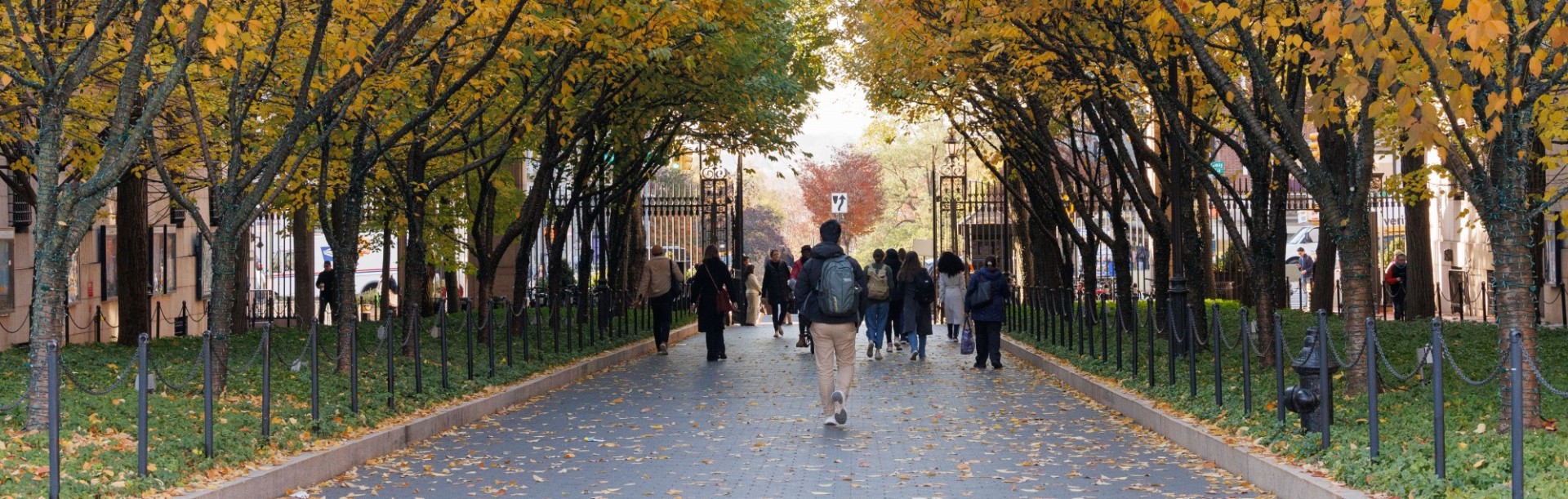 College Walk