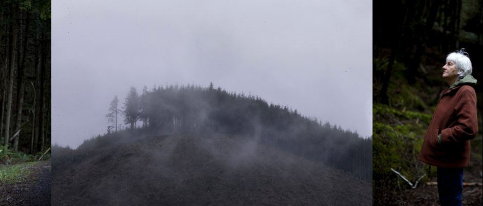 Photo credit: Beth Nakamura/The Oregonian
