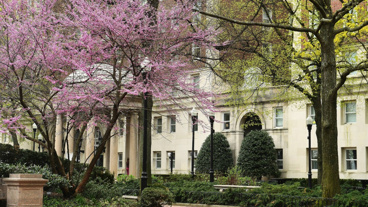 Spring on Columbia's campus. 