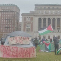 Tents with signs reading "Liberated Zone" and "Gaza Solidarity Encampment" are pictured on Columbia's south lawn, in front of Low Library.
