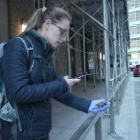 A woman wearing a backpack takes a photo of an injured bird on the streets of New York.