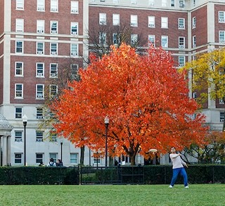 A man throws a frisbee on the lawn outside of John Jay Hall
