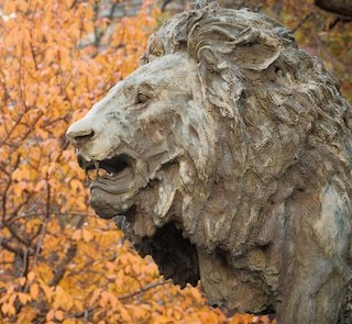 A lion sculpture on Columbia's campus