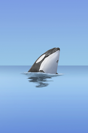 Poster for "The Good Whale"