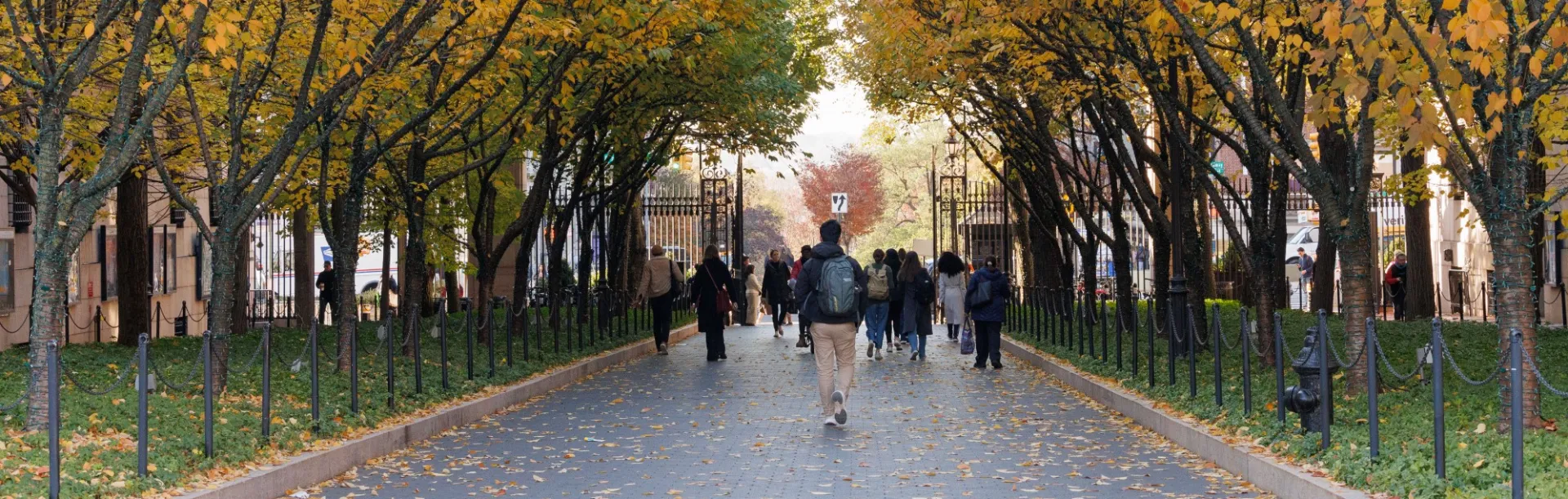 College Walk