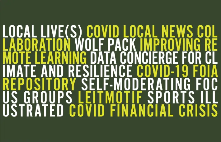 Image describing the topics of the Magic Grants, including COVID, data and sports. 