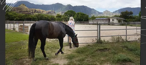 From part three of the 2026 Berger Award-winning series “When No One is Watching” for the Honolulu Civil Beat. Sandy Van, who provided a refuge for several foster boys, visits the horse farm where they lived. Photo by Kevin Fujii. Illustration by April Estrellon.