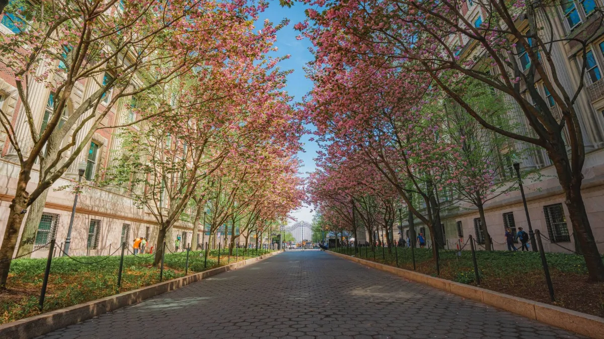 A photo of Columbia University's College Walk. 