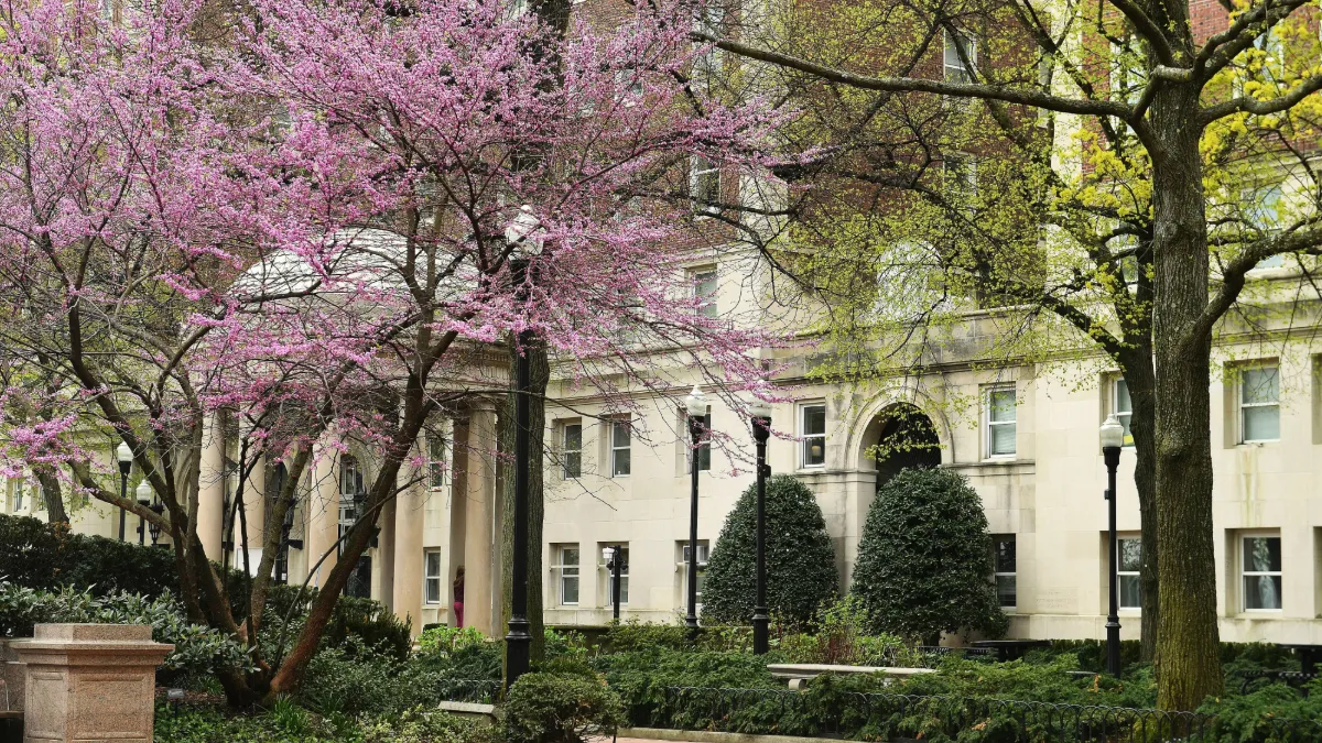 Spring on Columbia's campus. 