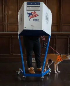 A person standing holding a dog on a leash casts their vote at a polling station. 