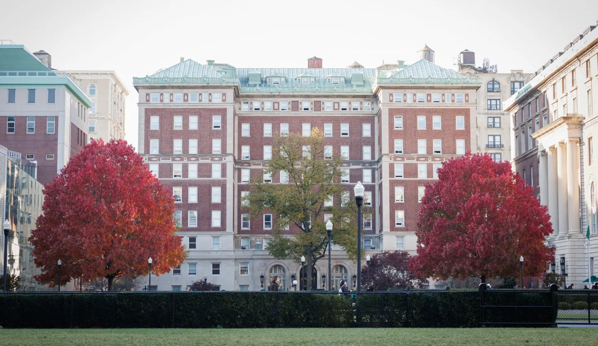 Trees on the Columbia University campus