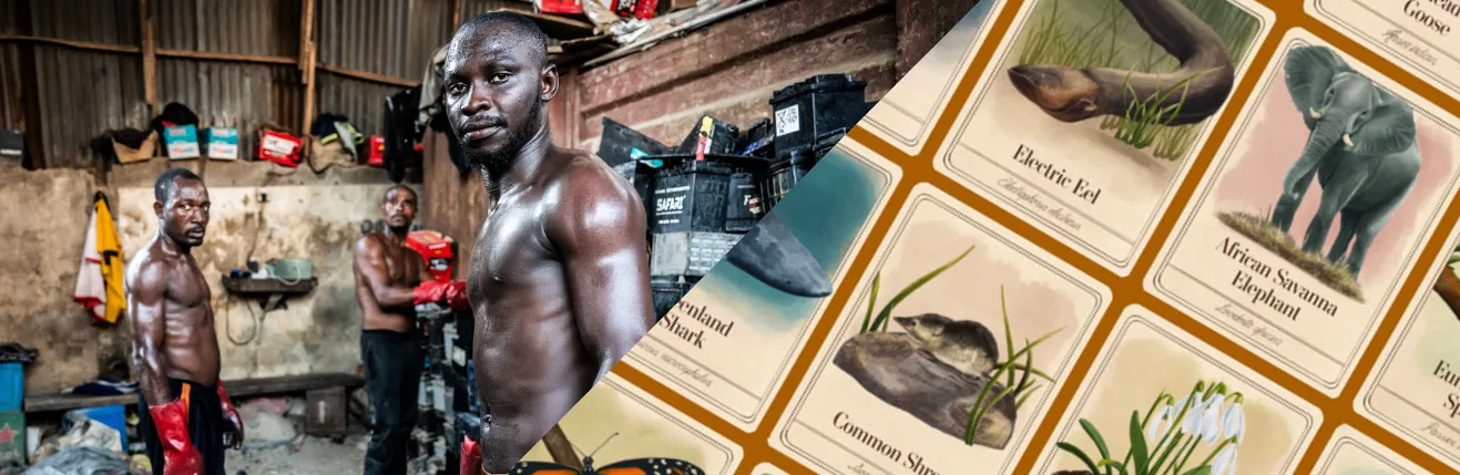 Images from two 2026 John B. Oakes Award-winning and finalist projects: “The Poisonous Lead Trade,” by The Examination and The New York Times, and “Species That Save Us,” by The Washington Post.