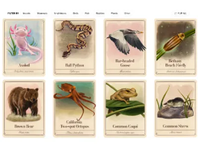The series highlights emerging research on how plants and animals protect human health – and how their disappearance is sickening thousands of people around the world. Illustration by Katty Huertas and Hailey Hammond for The Washington Post.