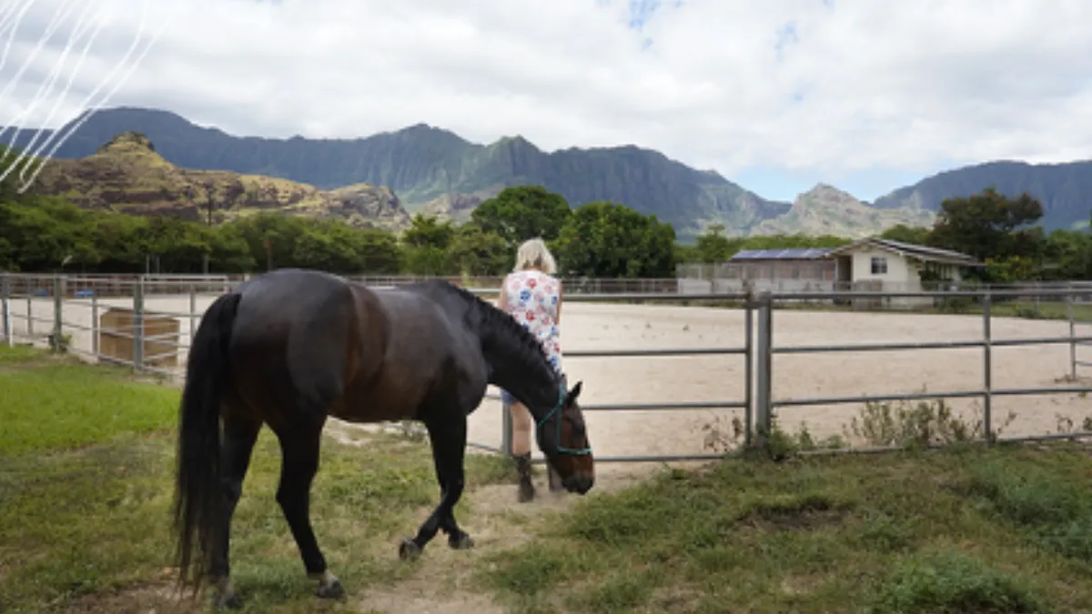 From the 2026 Berger Award-winning series “When No One is Watching” in the Honolulu Civil-Beat. Sandy Van, who provided a refuge for several of the foster boys, at the horse farm where they all lived. (Photo is by Kevin Fujii, illustration by April Estrellon.)